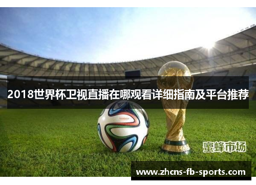 2018世界杯卫视直播在哪观看详细指南及平台推荐