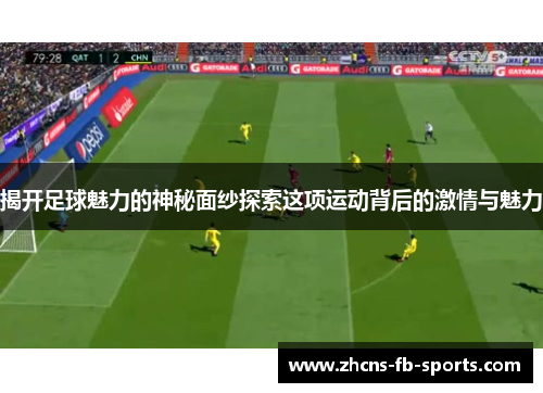 揭开足球魅力的神秘面纱探索这项运动背后的激情与魅力