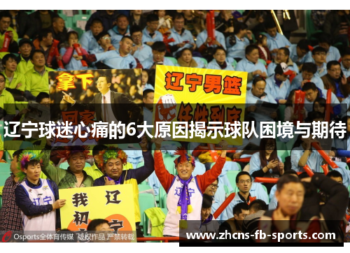 辽宁球迷心痛的6大原因揭示球队困境与期待