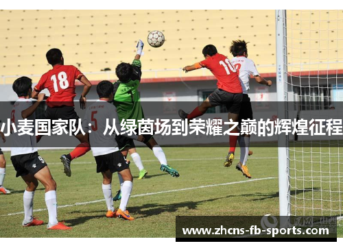 小麦国家队：从绿茵场到荣耀之巅的辉煌征程